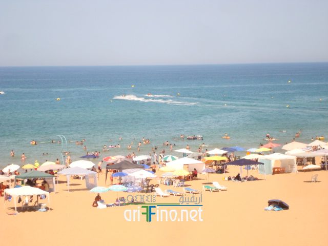 nador617