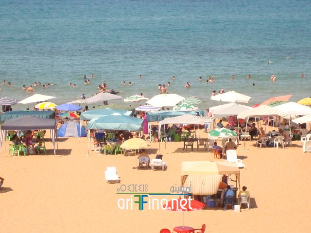 nador619