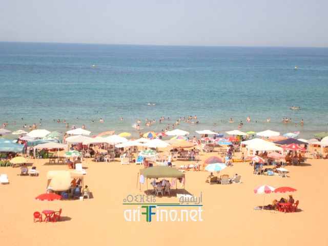 nador620