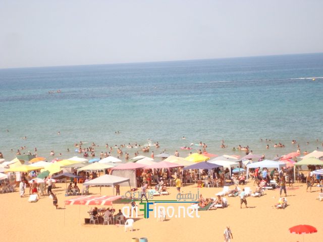 nador622