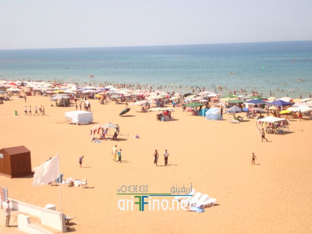 nador623