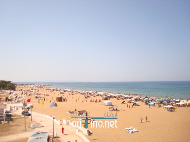 nador631