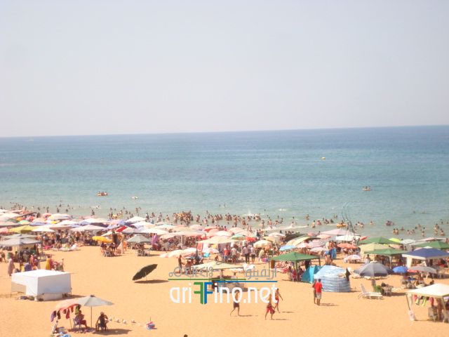 nador632