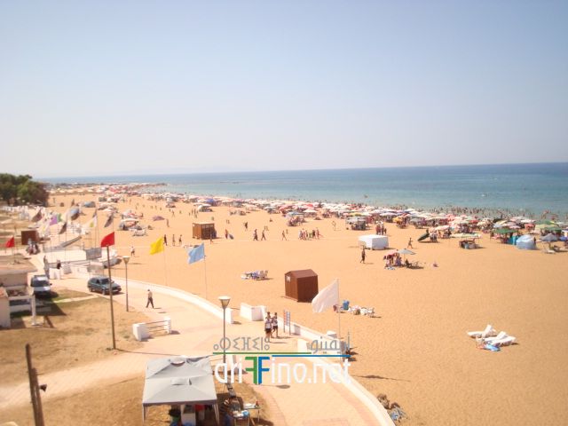 nador637