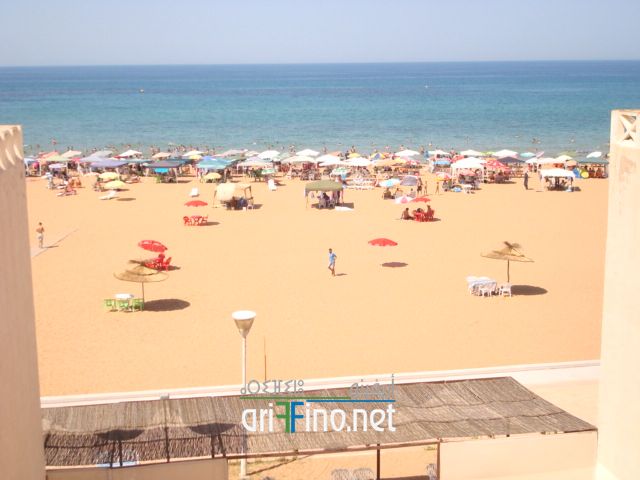nador639