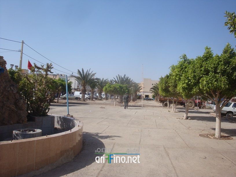 nador648