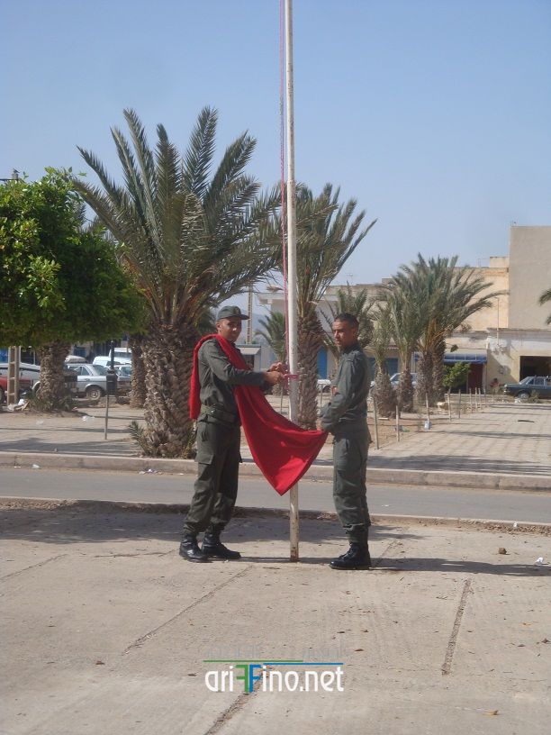 nador651