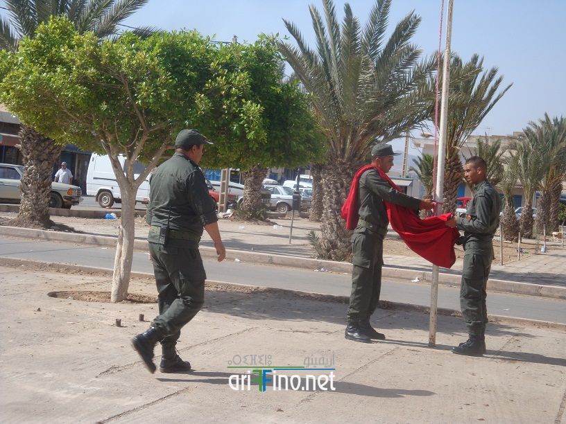 nador652