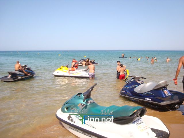nador653