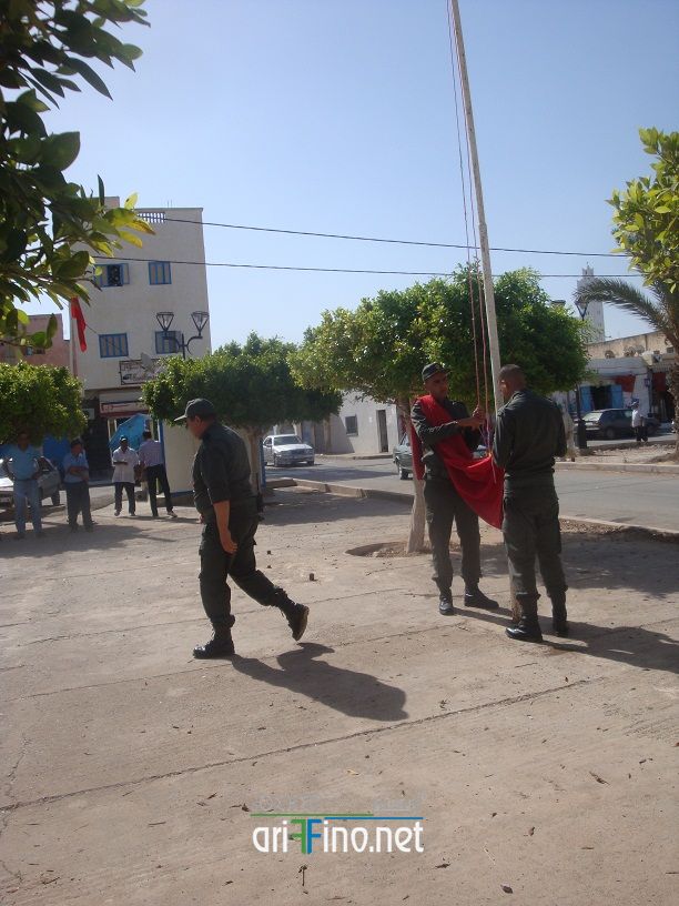 nador653