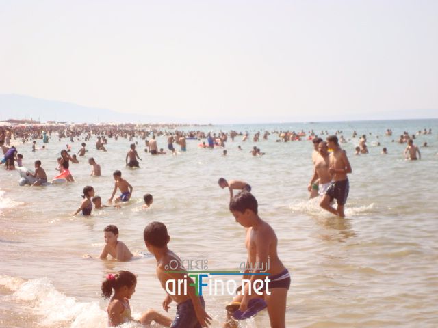 nador654