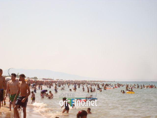 nador655