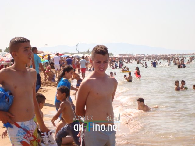 nador656