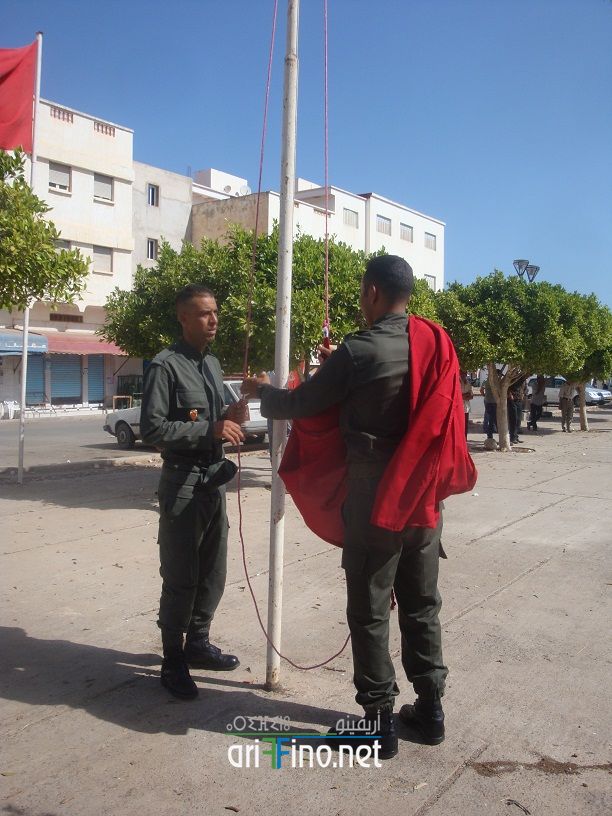 nador656