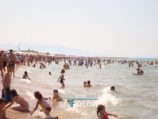 nador657