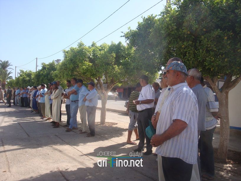 nador657