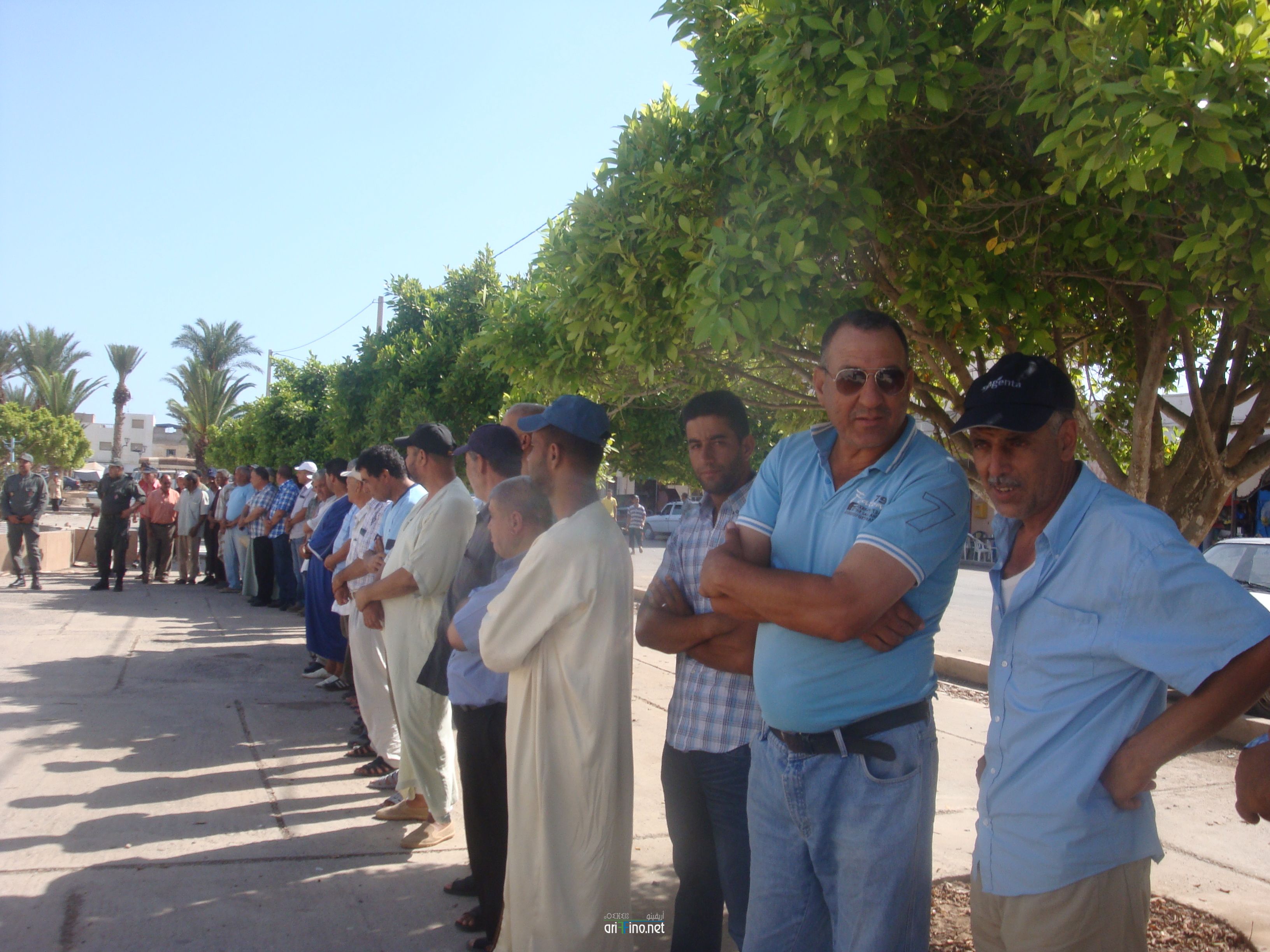 nador658