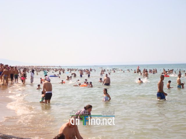 nador659