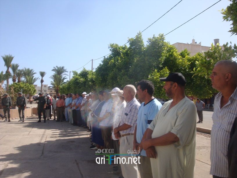 nador659
