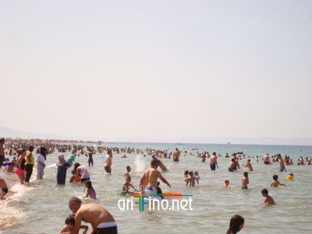 nador660