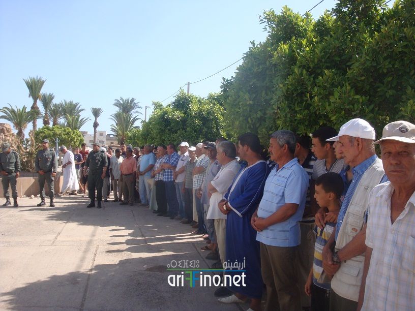 nador660
