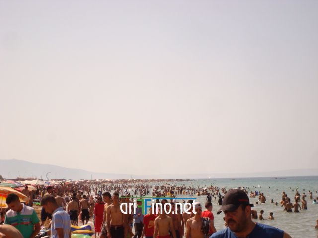 nador661