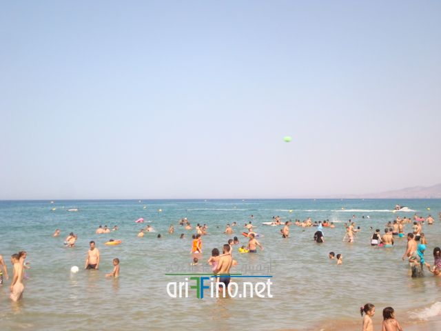 nador662