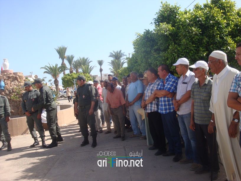 nador662