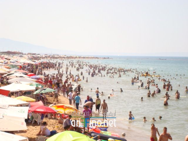 nador664