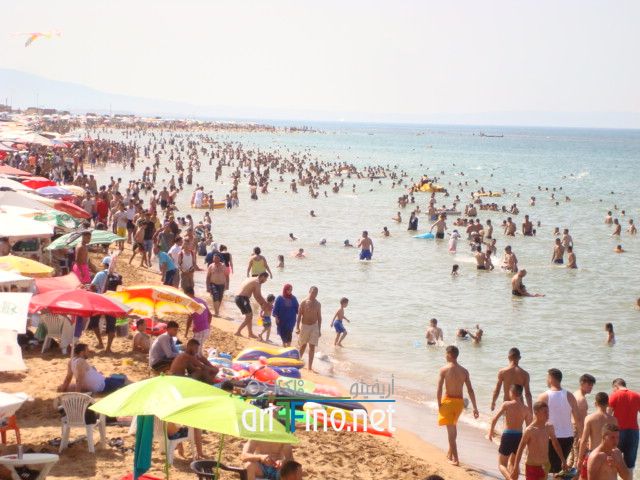 nador665