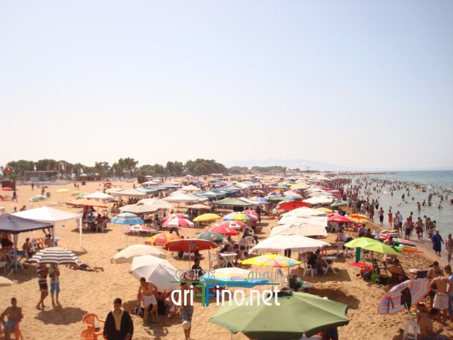 nador667