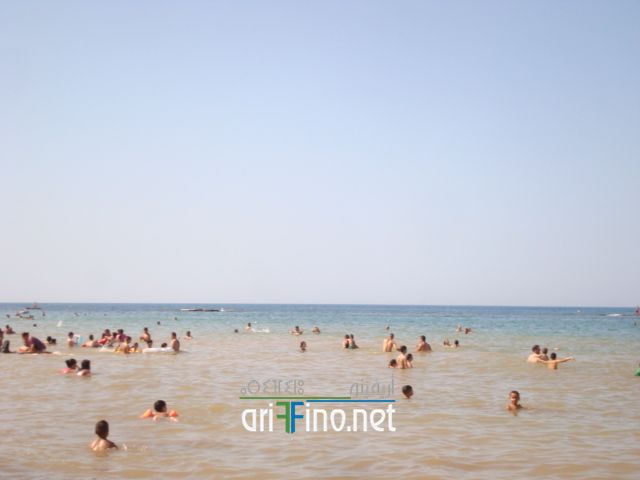 nador677