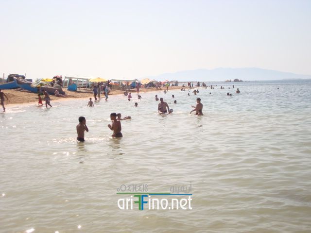 nador681