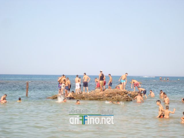 nador683