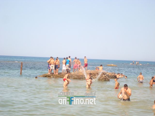 nador684