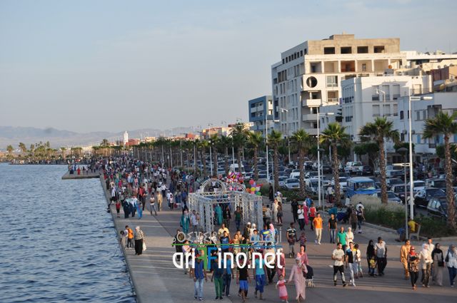 nador688