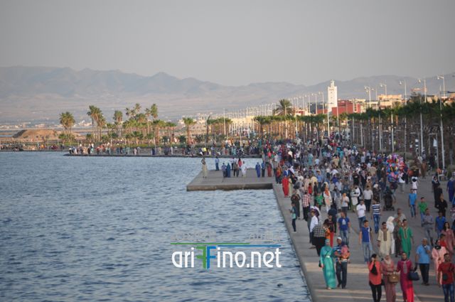 nador691