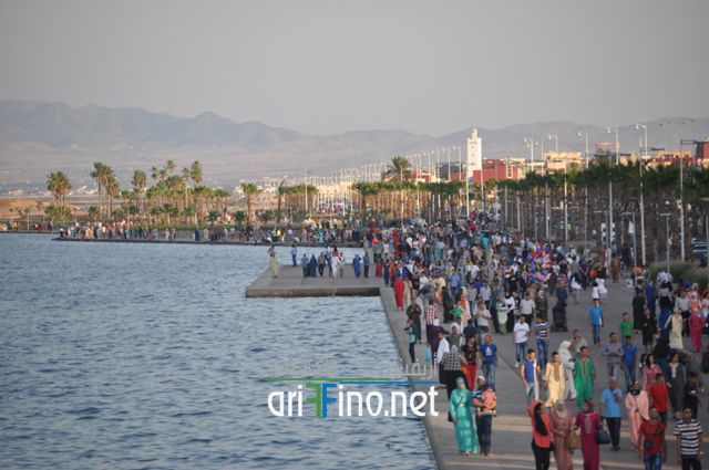 nador692