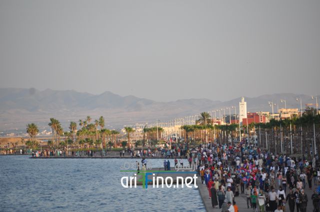nador693