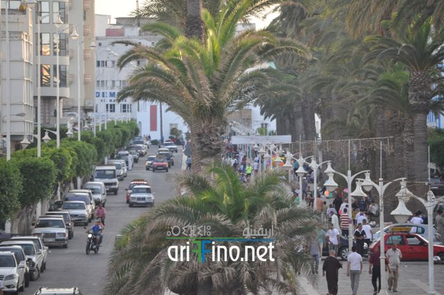 nador695