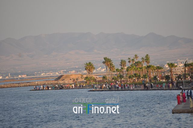 nador696