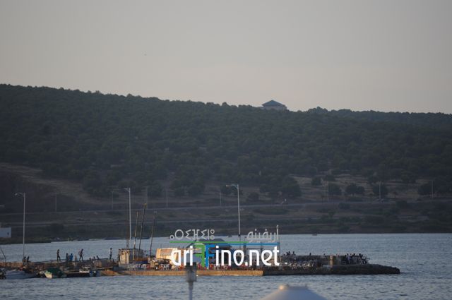 nador704