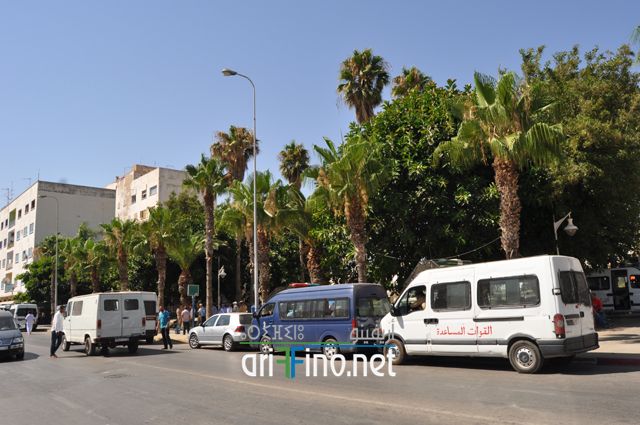 nador739