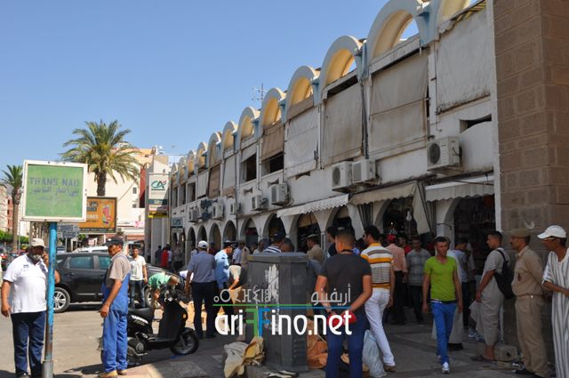 nador743