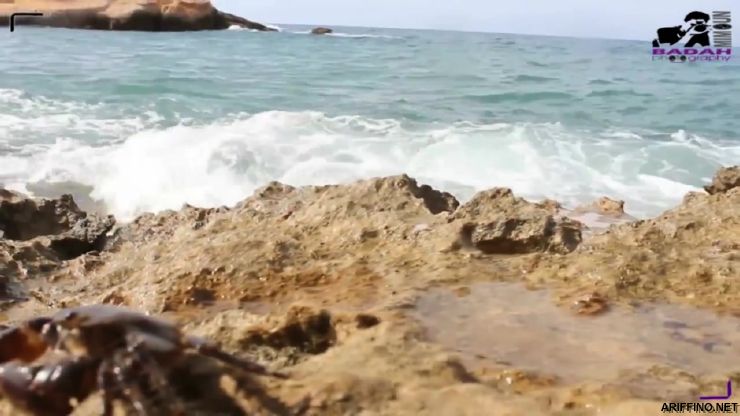 nador021