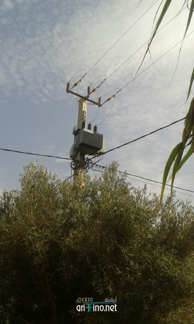 nador037