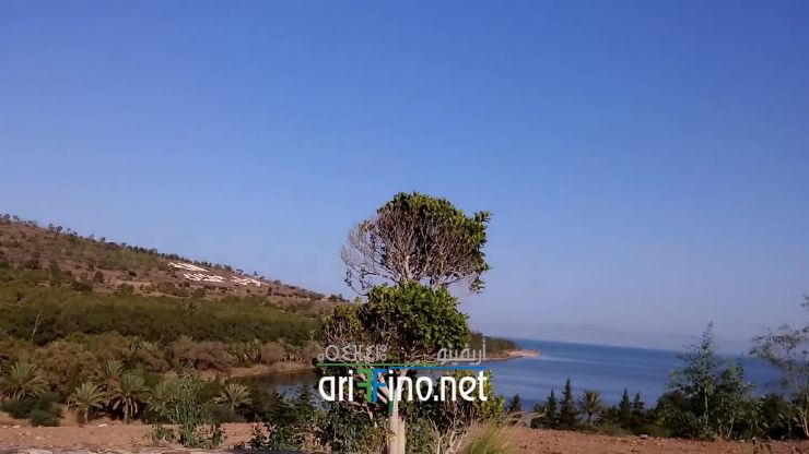 nador1010