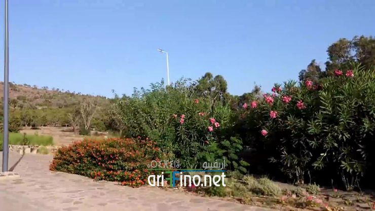 nador1012