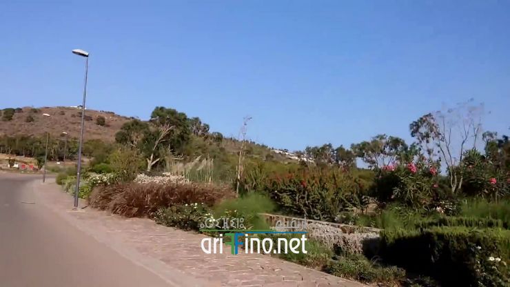 nador1013