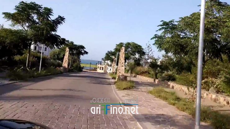 nador1016